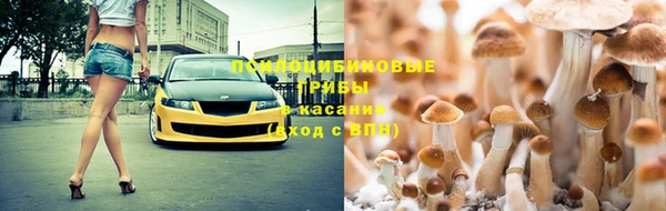 прущая мука Алзамай