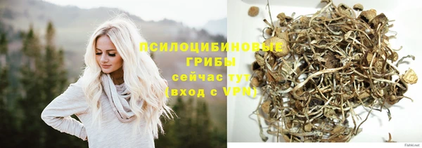 спиды Абинск