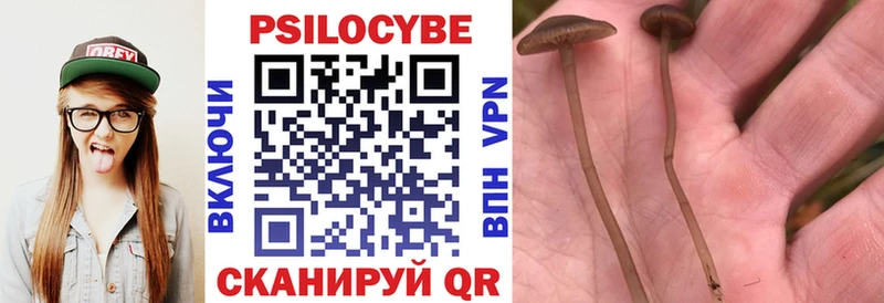 Псилоцибиновые грибы ЛСД  Анапа 